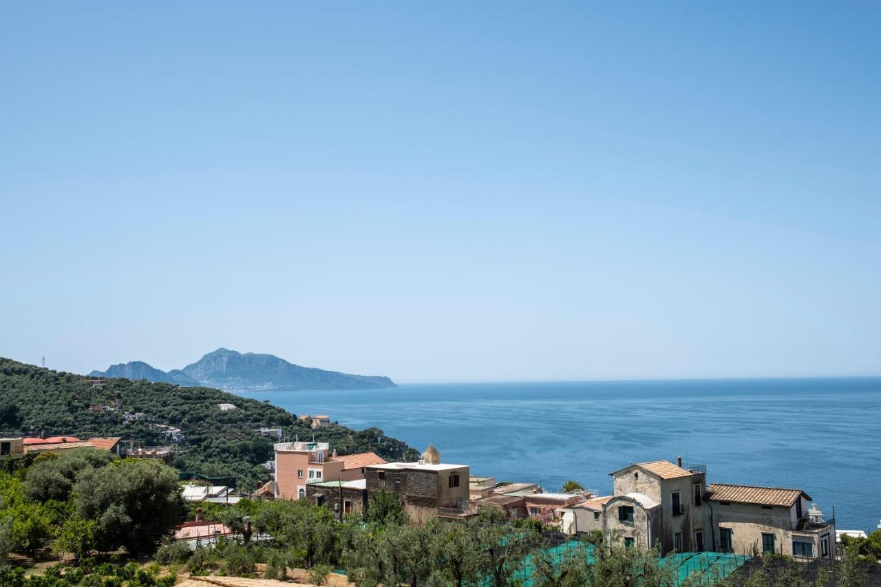 Neva Suites Massa Lubrense Sorrento Coast Eksteriør bilde