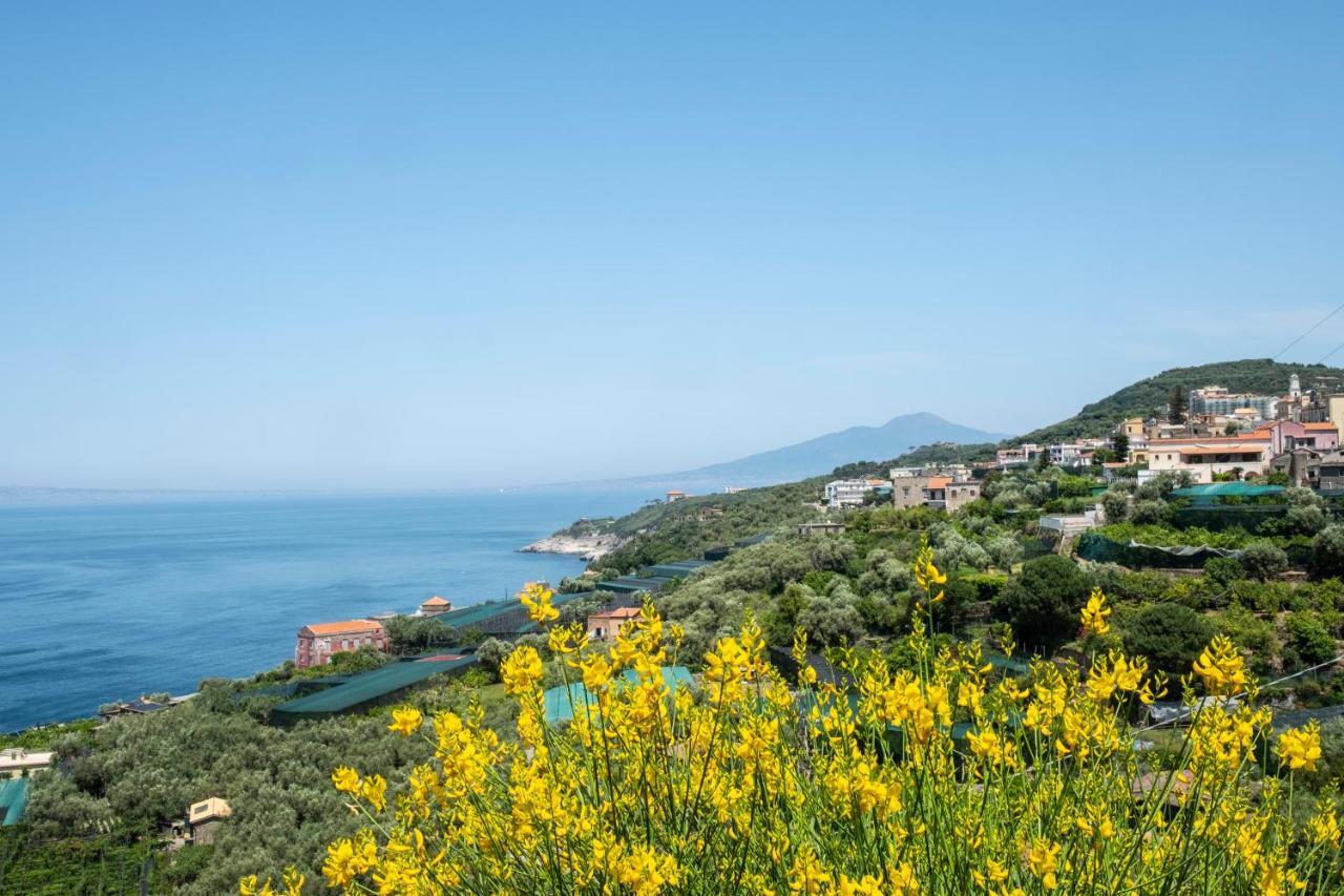 Neva Suites Massa Lubrense Sorrento Coast Eksteriør bilde
