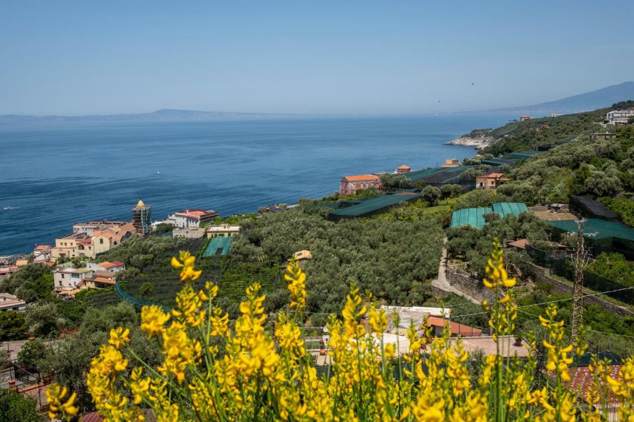 Neva Suites Massa Lubrense Sorrento Coast Eksteriør bilde